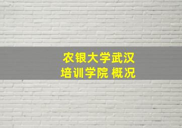 农银大学武汉培训学院 概况